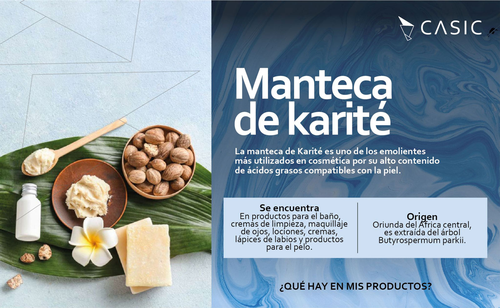 manteca-karite